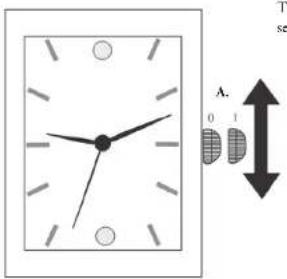 Stauer 26695 - TIMESETTING - 1