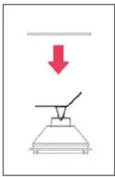 WILFA Crush WBL-1200V2 - How to assemble the appliance - 1