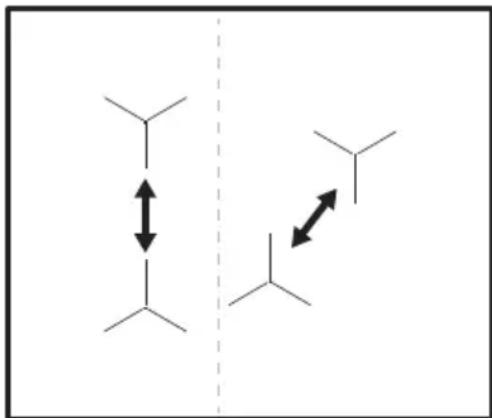 Chemical structure diagram showing two branched alkene units with double-headed arrows indicating intermolecular distance