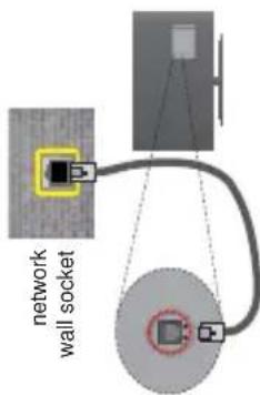 network wall socket