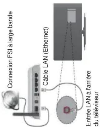 Connexion FSI à large bande Câble LAN (Ethernet) Entrée LAN à l'arrière du téléviseur
