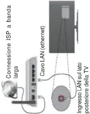 TELEFUNKEN D43F472X4CW - Collegamento a una rete cablata - 1