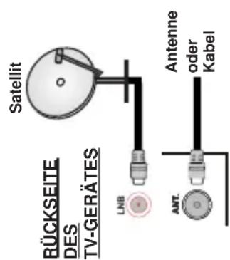 RÜCKSEITE DES TV-GERÄTES LNB Ant. Satellit Antenne oder Kabel