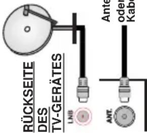 RÜCKSEITE DES TV-GERÄTES LNB Ant. Ante oder Kab
