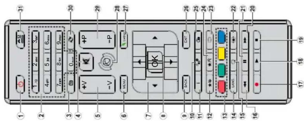 TELEFUNKEN D32H2518YRB - Télécommande - 1