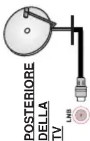 POSTERIORE DELLA TV LNB