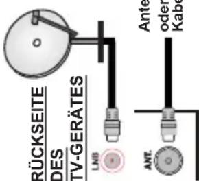 RÜCKSEITE DES TV-GERÄTES LNB Ant. Ante oder Kabe