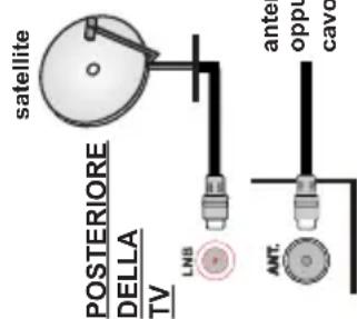 POSTERIORE DELLA TV LNB satellite ANT. ante opp cav