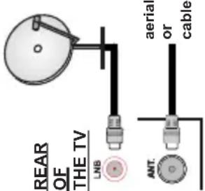 REAR OF THE TV LNB ANT. aeria or cable