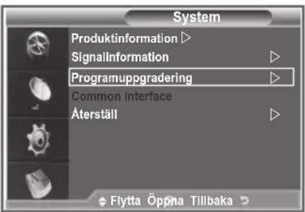 SAMSUNG LE46M86BC - Kontrollera signalinformation - 2