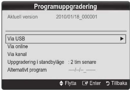 Programuppgradering Aktuell version 2010/01/18_000001 Via USB Via online Via kanal Uppgradering i standbyläge : 2 tim senare Alternativt program ----/--/-- Flytta Enter Tillbaka