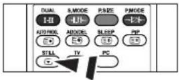 DUAL &MODE PASE PMODE HI HJ AUTO PROL ADDRES SLEEP PIP STILL TV PC