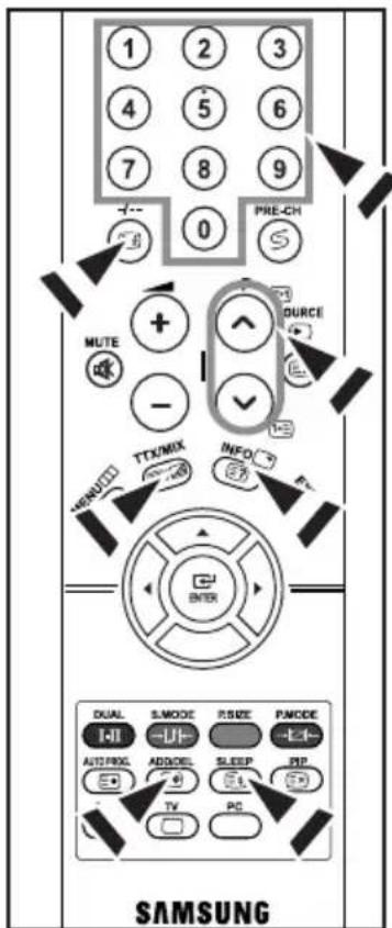 1 2 3 4 5 6 7 8 9 PRE-CH 0 MUTE + - DURCIE TXX/MIX INFO HINDU ENTER SAMSUNG