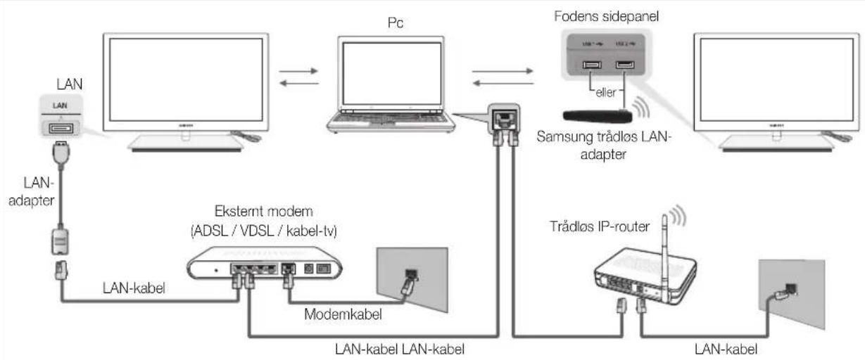 SAMSUNG UE55C9005ZW - Tilslutning til pc'en via netværk - 1
