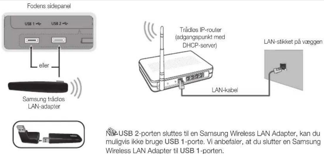 SAMSUNG UE55C9005ZW - Tilslutning til et trådløst netværk - 1