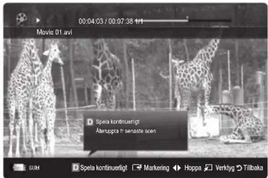 00:04:03 / 00:07:38 1/1 Movie 01.avi D Spela kontinuerligt Äteruppa fr senaste scen SUM D Spela kontinuerligt ▶ Marketing ◀ Hoppa ▼ Verktyg ▶ Tillbaka