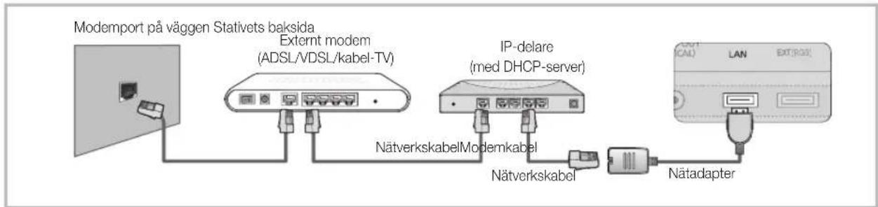 SAMSUNG UE55C9005ZW - Anslutning till ett nätverk via kabel - 2