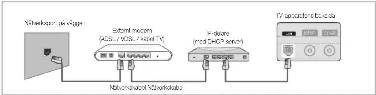 SAMSUNG UE40C6745SS - Anslutning till ett nätverk via kabel - 2