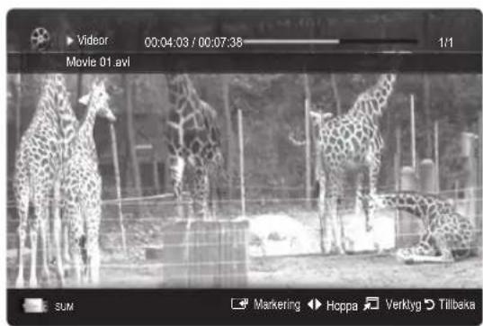 Videor 00:04:03 / 00:07:38 1/1 Movie 01 avi SUM Marketing Hoppa Verklyg Tillbeka