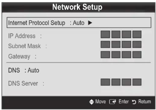 Network Setup Internet Protocol Setup : Auto ▶ IP Address : Subnet Mask : Gateway : DNS : Auto DNS Server :