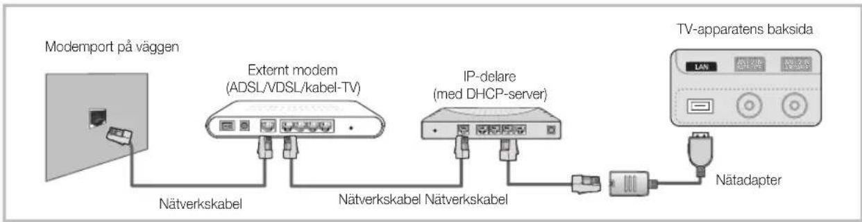 SAMSUNG UE65C8705XS - Anslutning till ett nätverk via kabel - 2