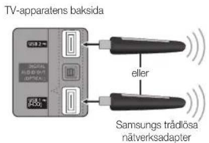 TV-apparatens baksida USB 2 ms OUTPUTS A-0100000000000000000000000000000000000000000000000000000000000000000000000000000000 USB 1 ms (456) eller Samsungs trådlösa nätverksadapter