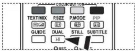 CODINJUNION TEXT/MIX P.SIZE P.MODE PIP GUIDE DUAL STILL SUBTITLE HI Q SET Q L
