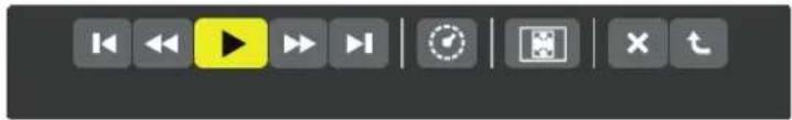 User interface toolbar with play button and playback controls