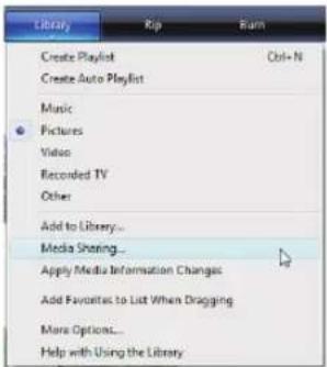 Library Create Playlist Create Auto Playlist Music Pictures Video Recorded TV Other Add to Library... Media Sharing... Apply Media Information Changes Add Favorites to List When Dragging More Options... Help with Using the Library