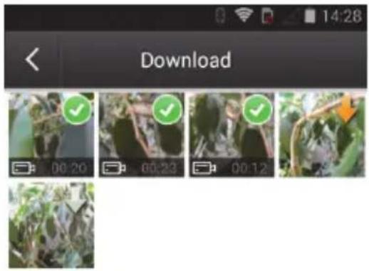 Download 00:20 00:23 00:12