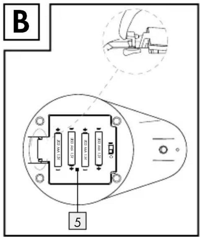 B 5