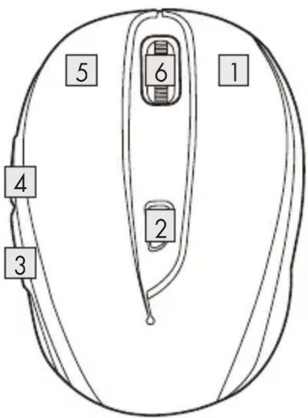 1 2 3 4 5 6