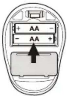 + AA - - AA +