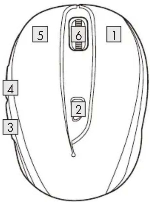 1 2 3 4 5 6