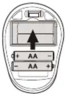 0+ AA - - AA + b