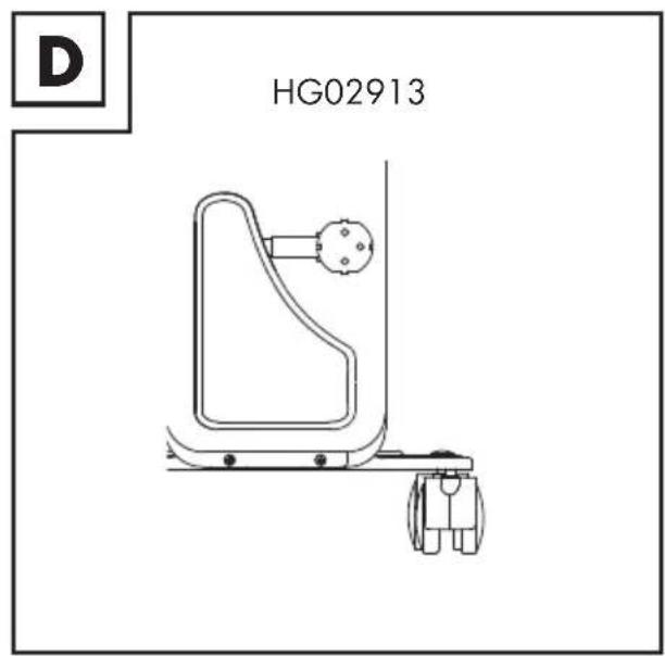 D HG02913