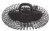 SILVERCREST SMA 500 C1 - Repères « MIN » et « MAX » - 1