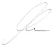 Handwritten signature or scribble on white background