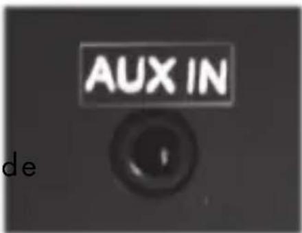 AUX IN de