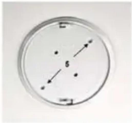 NEDIS DTCTSC10WT - Technical specifications - 2