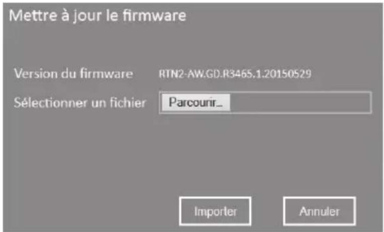 Mettre à jour le firmware Version du firmware RTN2-AW.GD.R3465.1.20150529 Sélectionner un fichier Parcourir_ Importer Annuler