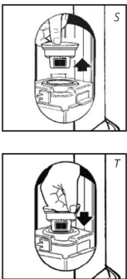 S T