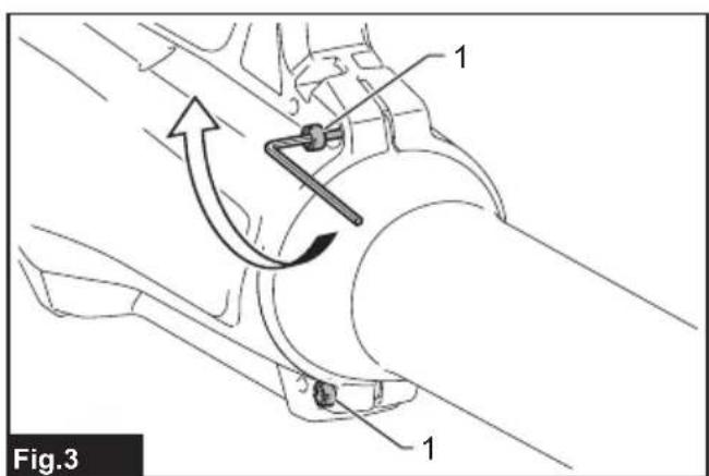 Fig.3