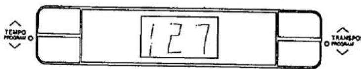 TEMPO PROGRAM 127 TRANSPÓ PROGRAM
