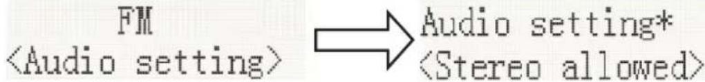 FM Audio setting*