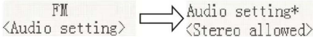 FM Audio setting*