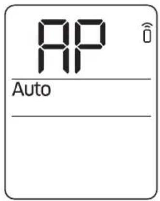 AP Auto