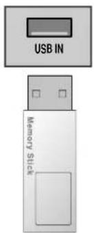 USB IN Memory Stick