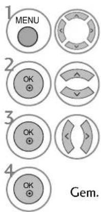 1 MENU 2 OK 3 OK 4 OK Gem.