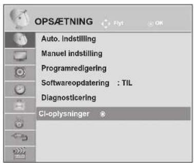 LG M2762DP - CI (COMMON INTERFACE)-OPLYSNINGER - 1